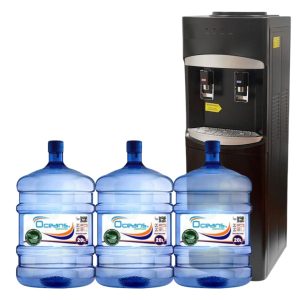 Pack de inicio 7 |  *** DESPACHO DISPONIBLE SOLO VALPARAISO METROPOLITANO ***